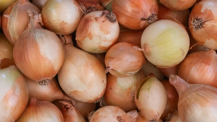 Лук не будет гнить до весны: как правильно хранить овощ