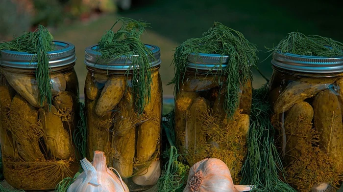 Как правильно квасить огурцы в кастрюле: семь секретов от профессионалов Как правильно квасить огурцы в кастрюле: семь секретов от профессионалов