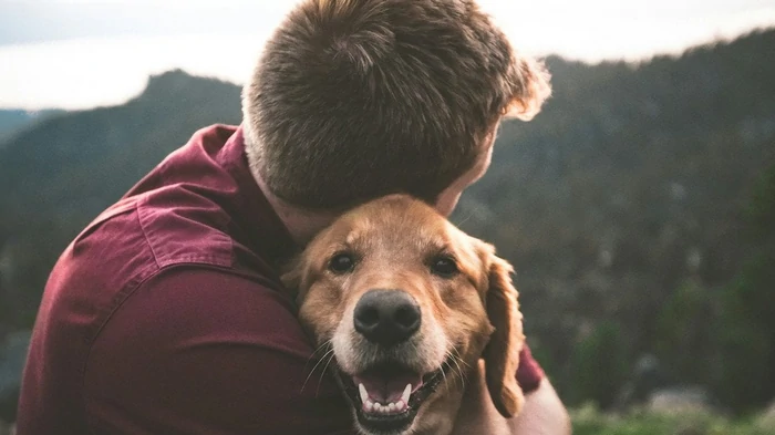 Как понять, что вы для питомца самый важный человек: ветеринары назвали 5 признаков