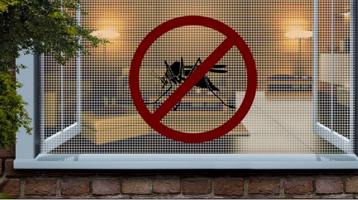 Москитные сетки в Одессе: эффективная защита дома от насекомых и пыли