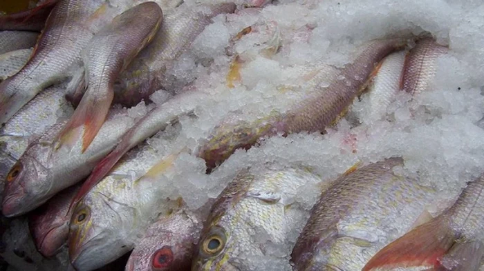 Как быстро разморозить рыбу — и не превратить ее в кашу Как быстро разморозить рыбу — и не превратить ее в кашу