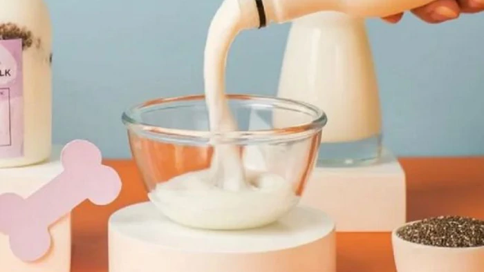 Забудьте об овсянке: назван лучший завтрак для мозга после 60 лет