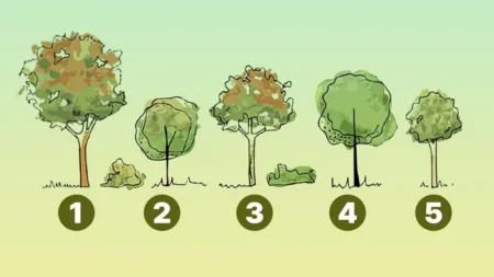 Быстрый тест на эгоизм: какое дерево посадите у дома — нарциссы дают один ответ